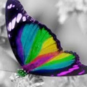 Meet your Posher, Marisa